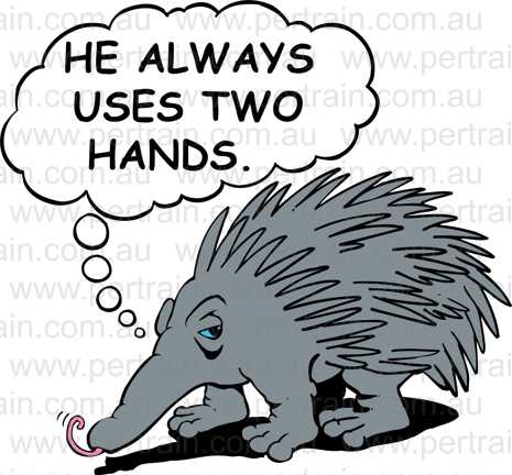 Echidna he always