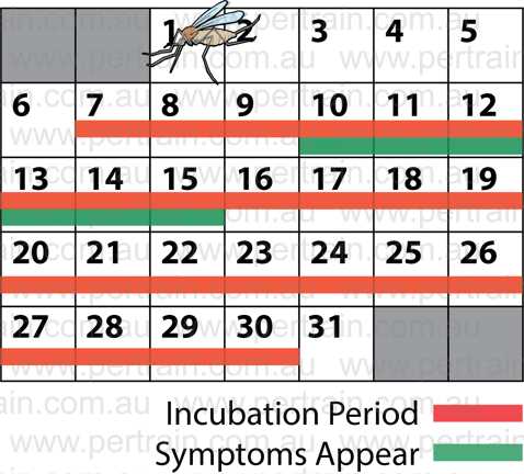 Malaria calendar