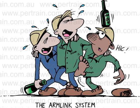 The armlink system