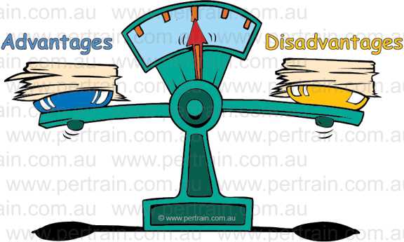 Scale advantages disadvantages