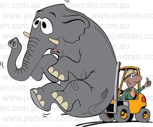 Forklift elephant