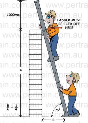 Ladder safety