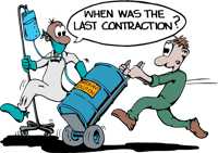 When was the last contraction